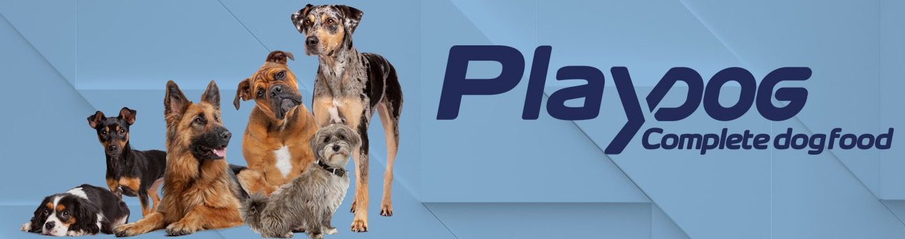 PLAYDOG